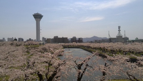 五稜郭タワーと函館山