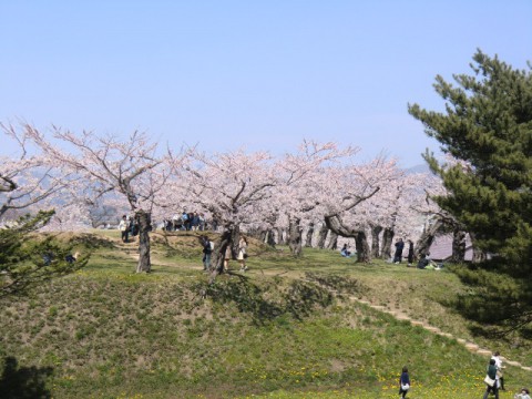 五稜郭公園さんぽ
