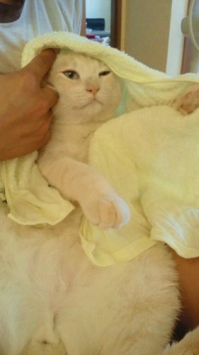 この1週間
