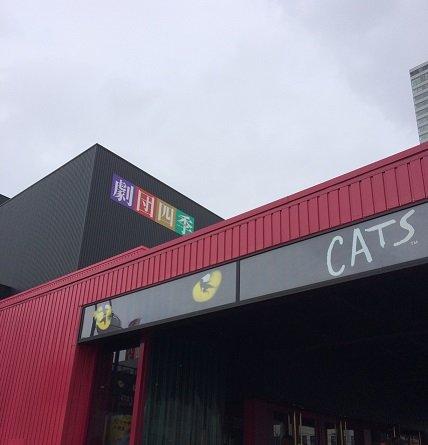 第三弾! Cats...