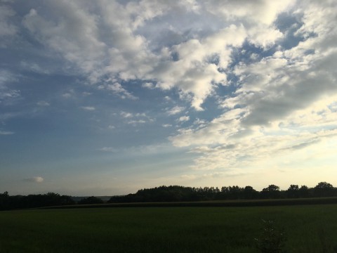 夏は?