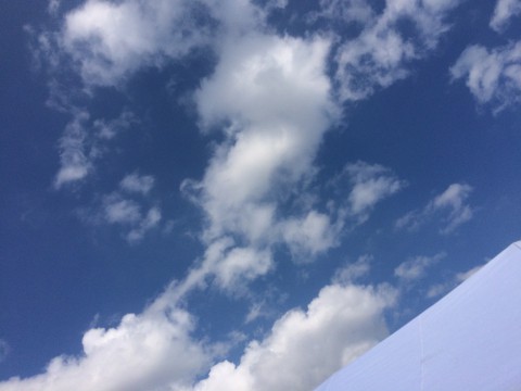 そらが...