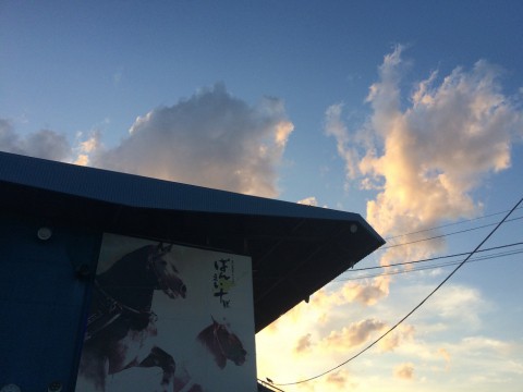 ばんえい...