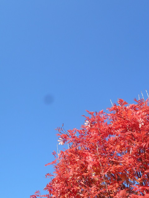 あお...あか...き...