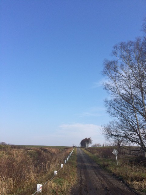 今日もきれいでした...