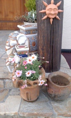 お花屋さんをはしご~