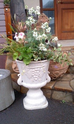 寄せ植え講習会