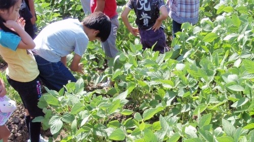 工場見学