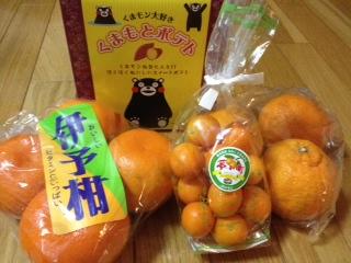 ビタミンたっぷりお土産が届きました♪( ´θ`)ノ