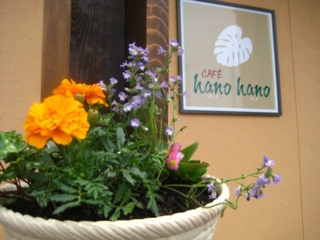 CAFE hanohano です 入り口にお花を飾りました♪