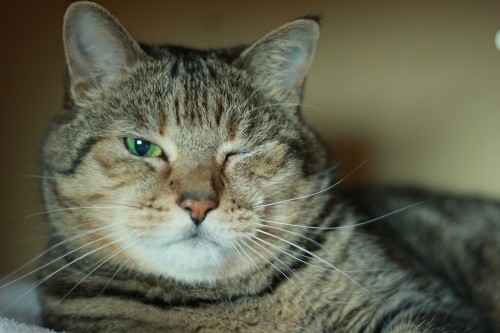 しみしみ～ぽっちゃん！！