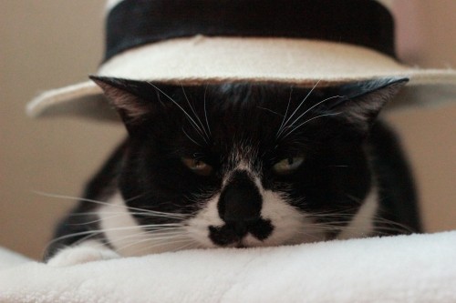 ネットつながらず