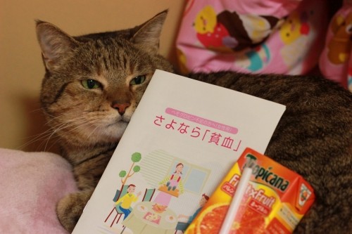 リベンジ...そして惨敗(´∀｀；)