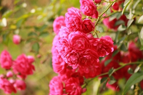 すれちがいの法則?