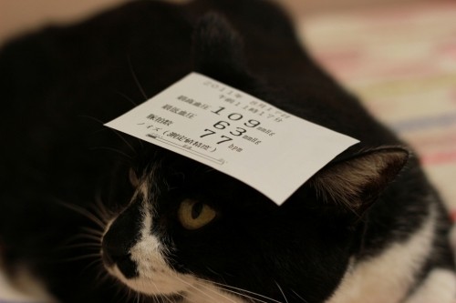 できればやめてほしいなぁ~