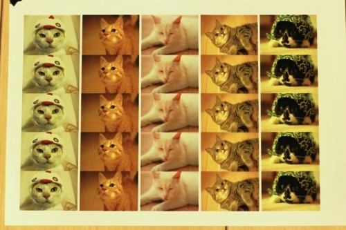 ねこプリ作ってみました♪