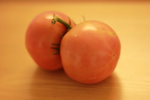 おしどりトマト