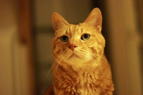 つやちゃん、笑って~