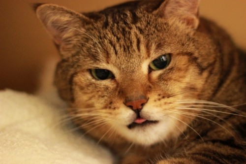 良くなってます