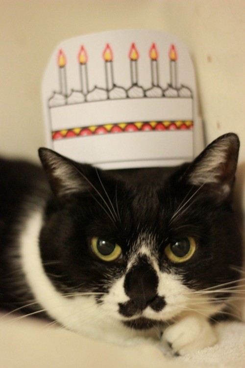 ハッピーバースデーだんな