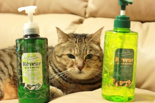 シリコンがノンなシャンプー