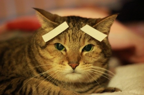 ぼくわ、こまっている