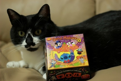 セブンイレブンでむだづかい