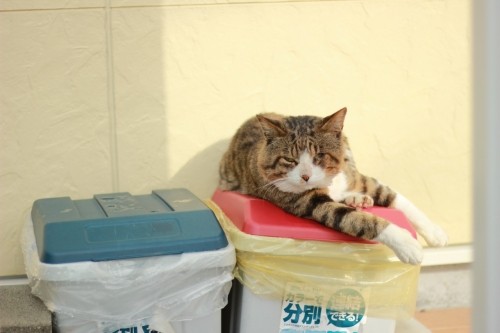 箱の上のマシャ