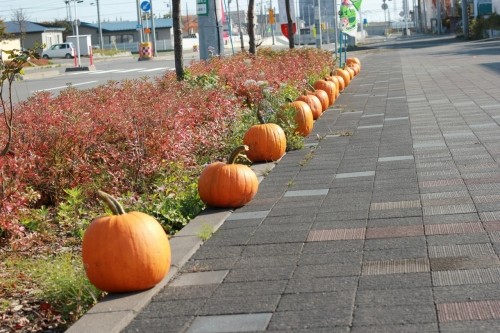 ロード　オブ　かぼちゃ