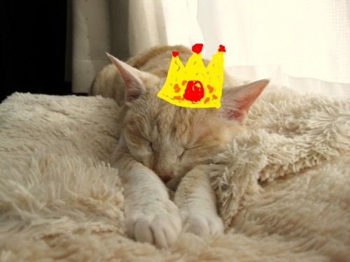 ウイザベス女王杯