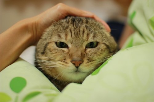 砂チェン（その２）