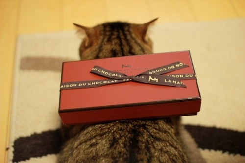 ダンナのおみやげ～自分ち編