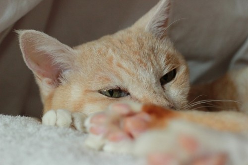 うっちゃまに怒られる