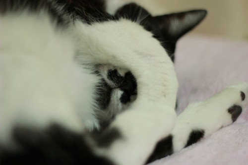 ブログやってます