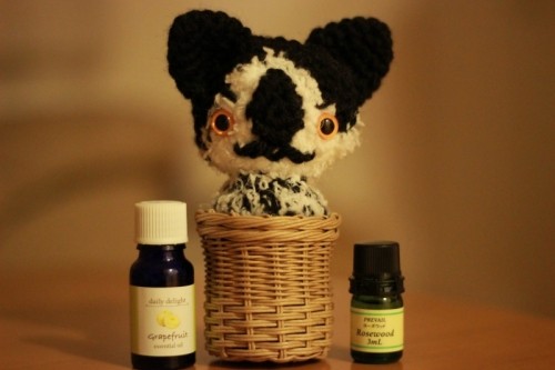 チョコフォンデュとさよならアロマテラピー