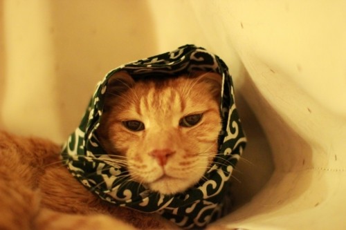 バレンタインなんてラララ~