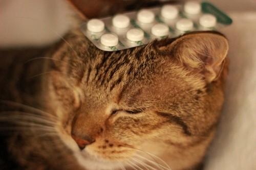 なんとかアレルギー