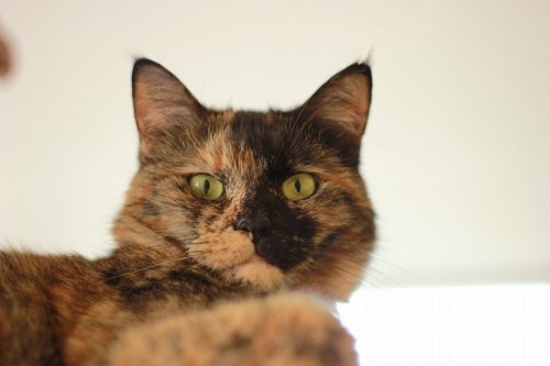 は～るばる～来たぜ（前編）