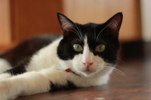 は~るばる~来たぜ(後編)