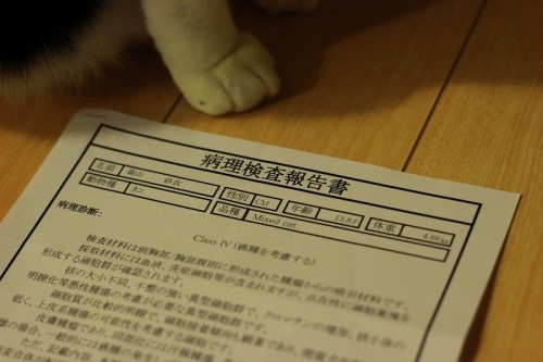 にくいアンチキショウ