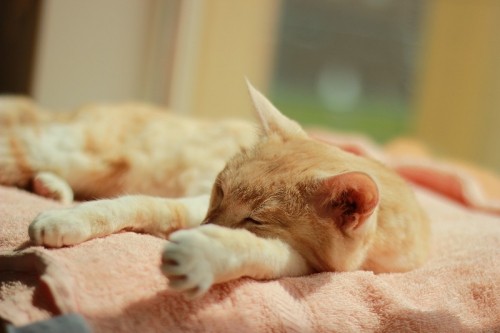 術後２日目～５日目