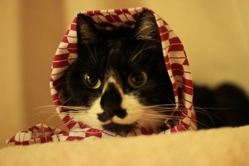 術後６日目～８日目