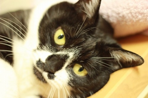 術後９日目～退院