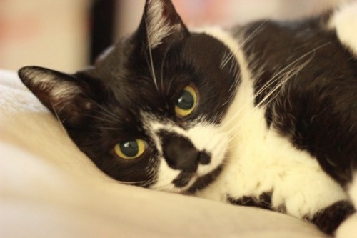 思いがけない災難