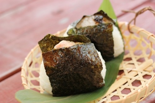 動物愛護フェスティバル