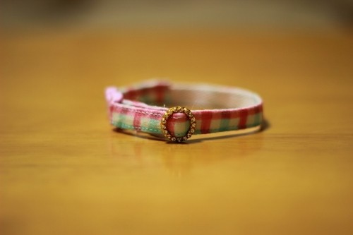 ギン♪ガム♪チェック