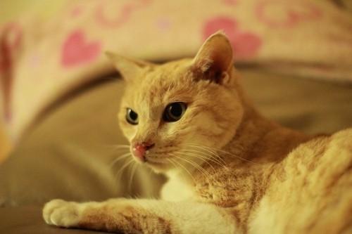 ごぶさたしてます