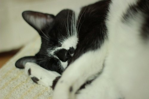 今年も華をよろしく♪