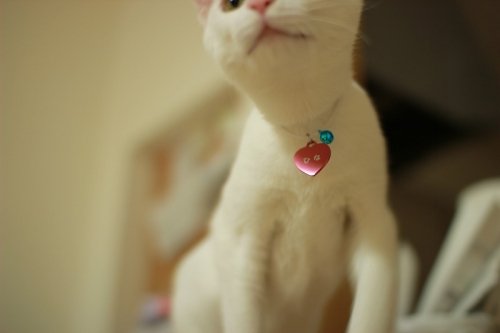 ばっちりメイク or 超ナチュラルメイク