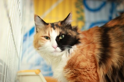 空ちゃん（仮）トライアルへ！